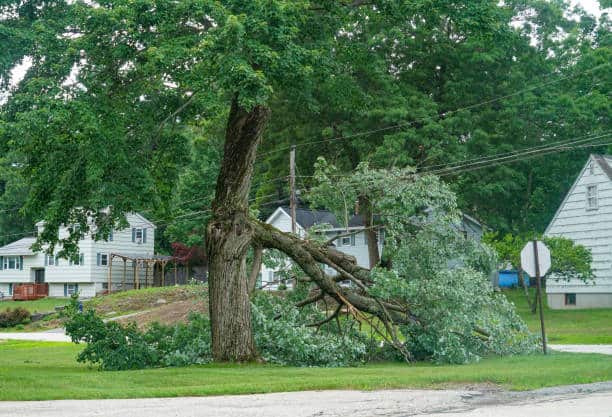 Storm Damage Restoration Columbia SC