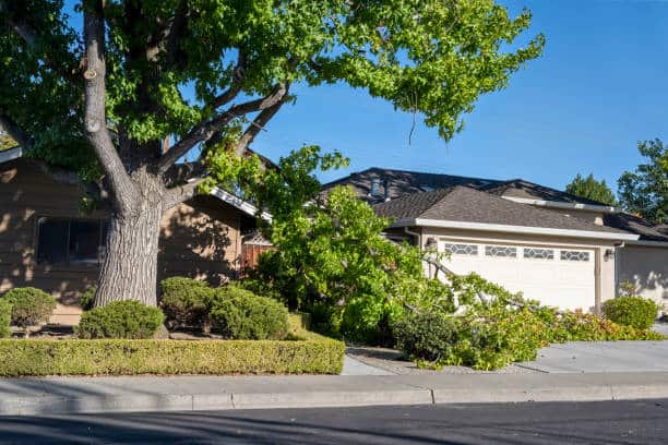 Cola City Roofing services
